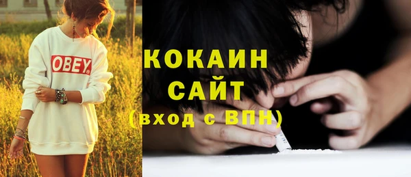 дживик Богородск