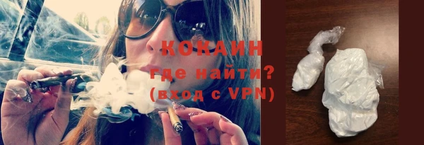дживик Богородск