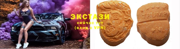 стаф Богородицк