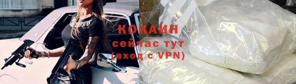 стаф Богородицк