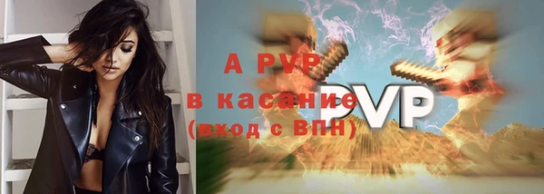стаф Богородицк