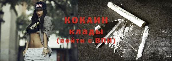 дживик Богородск