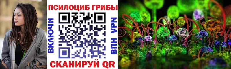 Купить  Фокино  Псилоцибиновые грибы прущие грибы 